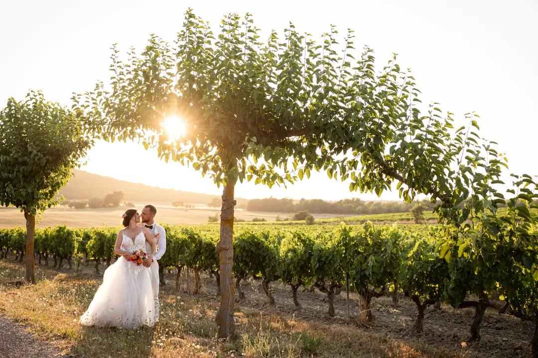 marriage-parallax illustration 9